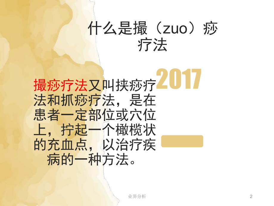 撮痧-撮痧疗法[业界研究]课件.ppt_第2页