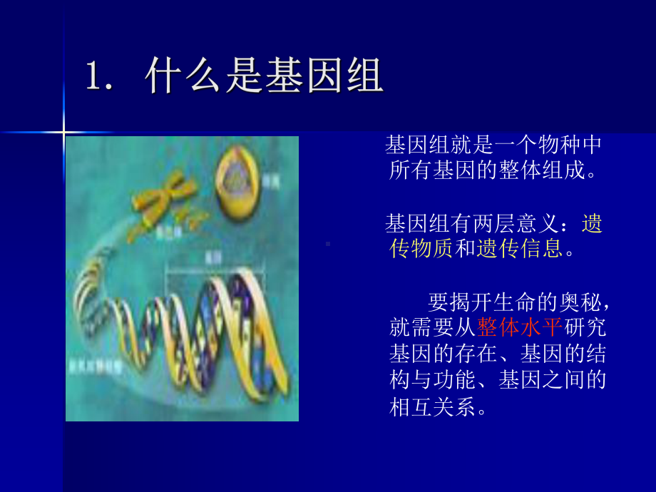 基因组测序与序列组装课件.ppt_第3页