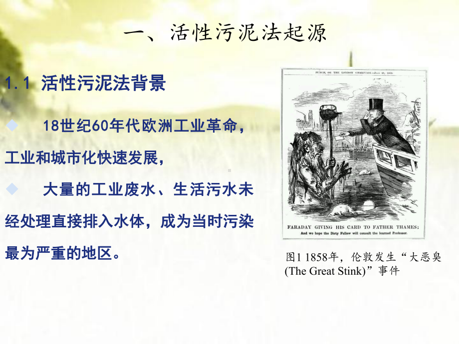 活性污泥法-PPT课件.ppt_第2页