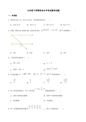 2022年云南省玉溪市九年级下学期学业水平考试数学试题附答案.docx