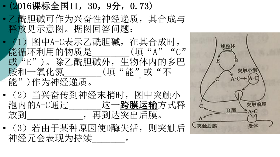 微专题-物质跨膜运输跨膜层数分析课件.ppt_第2页