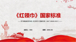 传达学习2022年新发布的《红领巾》国家标准（带内容）PPT课件.pptx