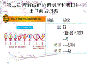 第二章理解编码协调制度和我国进出口商品归类课件.ppt