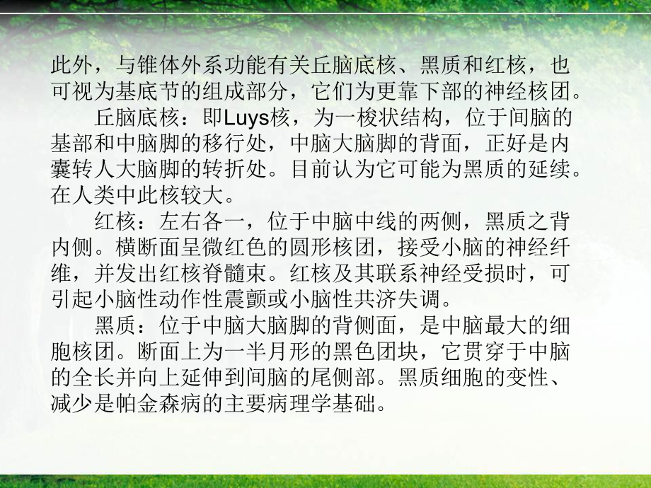 基底节、内囊结构与神经传导课件.ppt_第3页