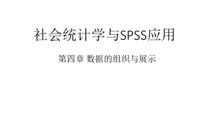 30第四章-数据的组织与展示课件.ppt