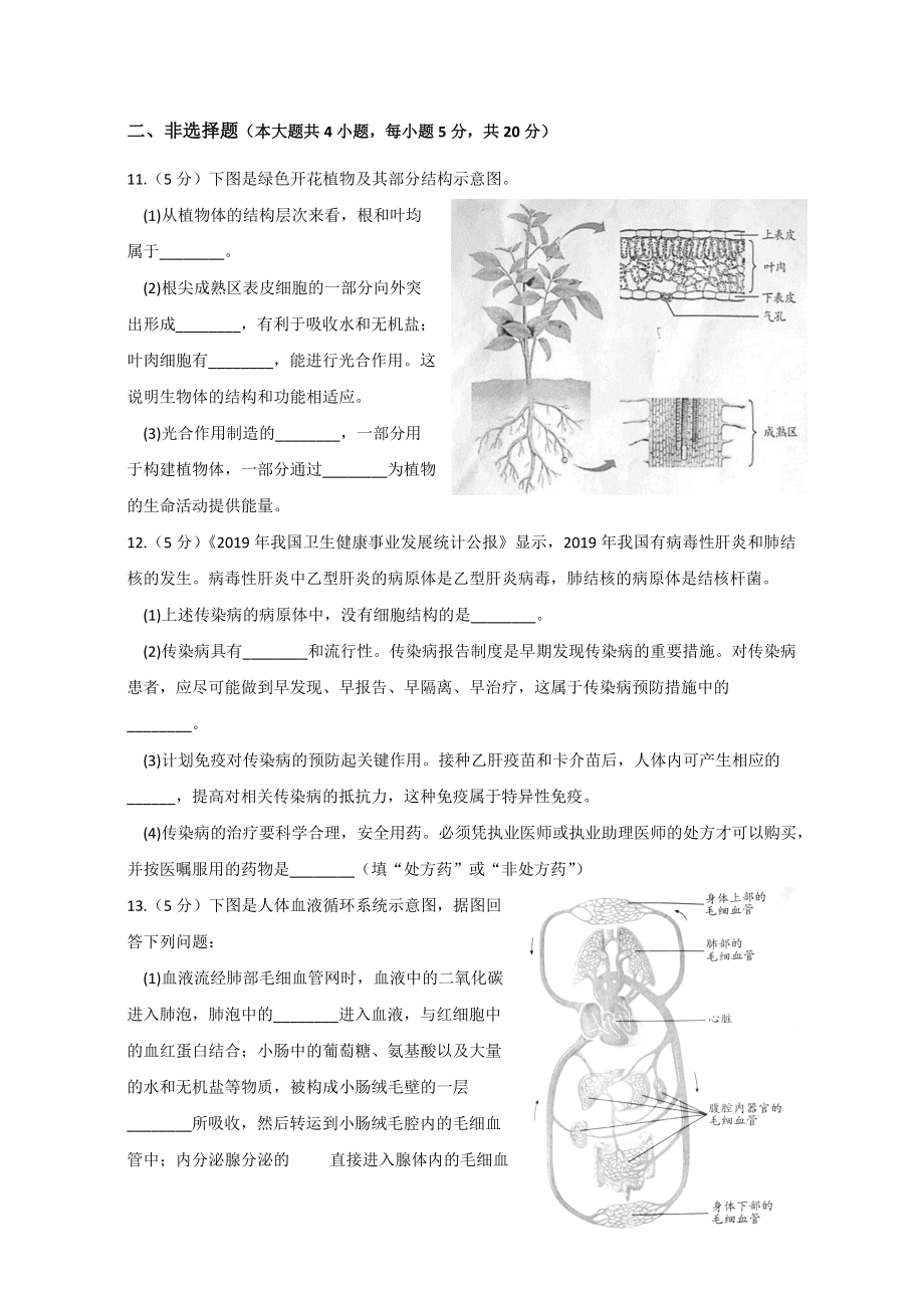 安徽省2020年八年级学业水平考试生物学试题（word版有答案）.doc_第3页