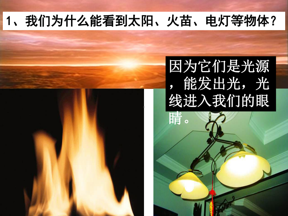 光的反射讲PPT课件.ppt_第3页