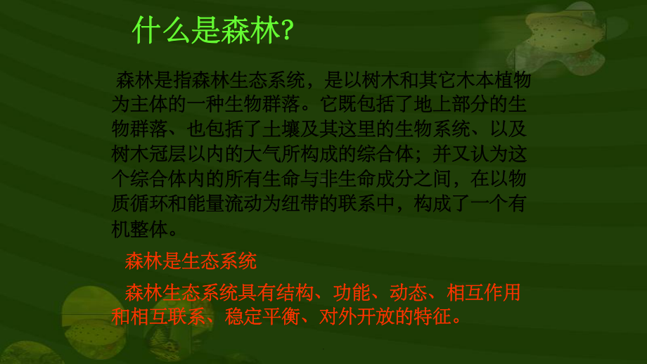 森林植被破坏ppt课件.ppt_第2页