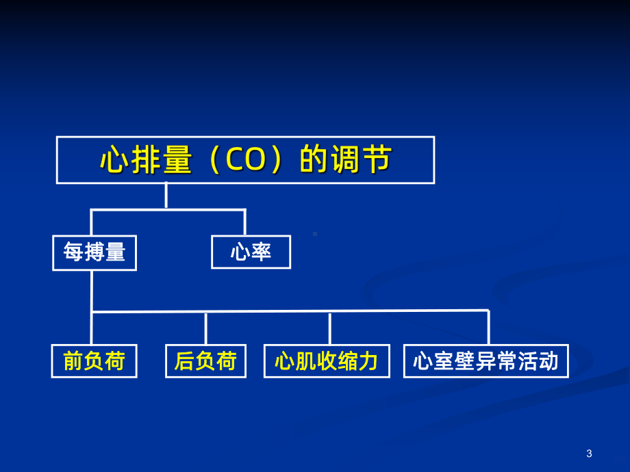 心排血量监测方法PPT课件.ppt_第3页