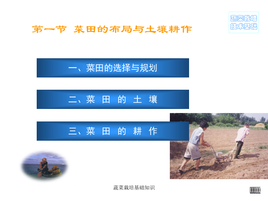 蔬菜栽培基础知识-ppt课件.ppt_第3页