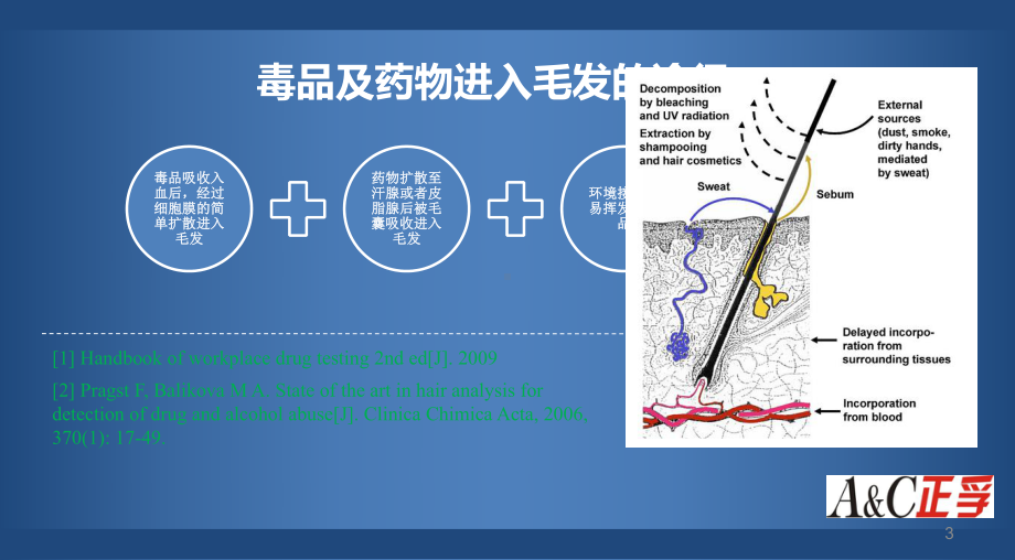 毛发毒品分析论证ppt课件.ppt_第3页