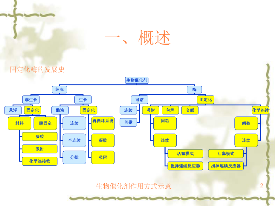 固定化酶ppt课件.ppt_第2页