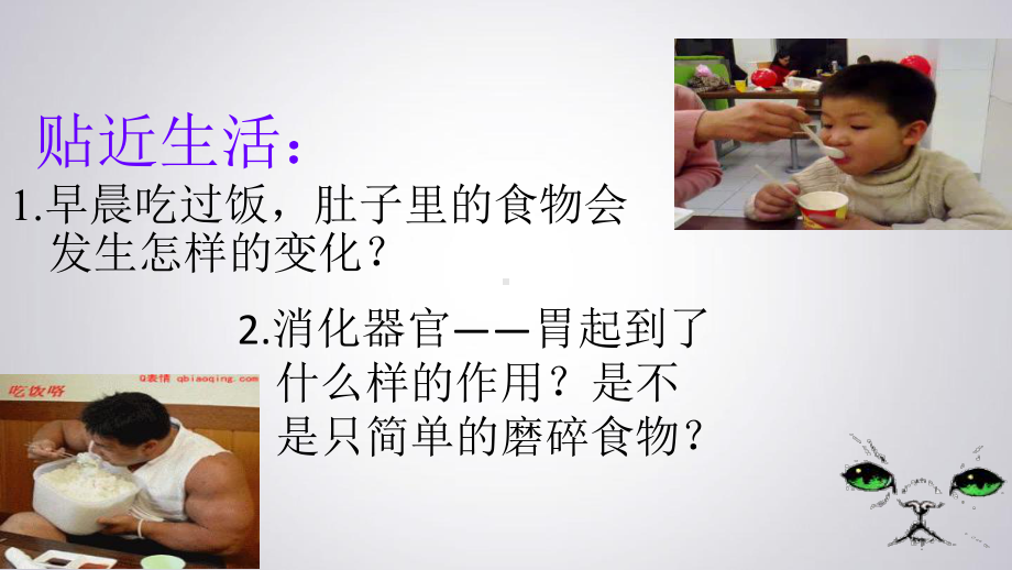 公开降低化学反应活化能的酶PPT课件.ppt_第3页