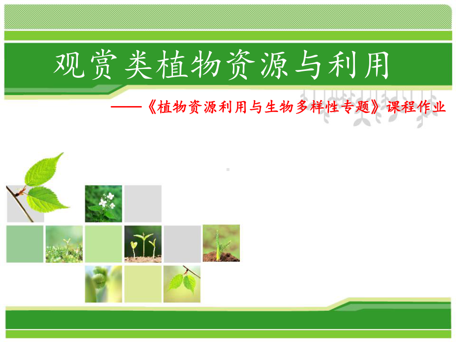 观赏类植物资源与利用-ppt课件.ppt_第1页