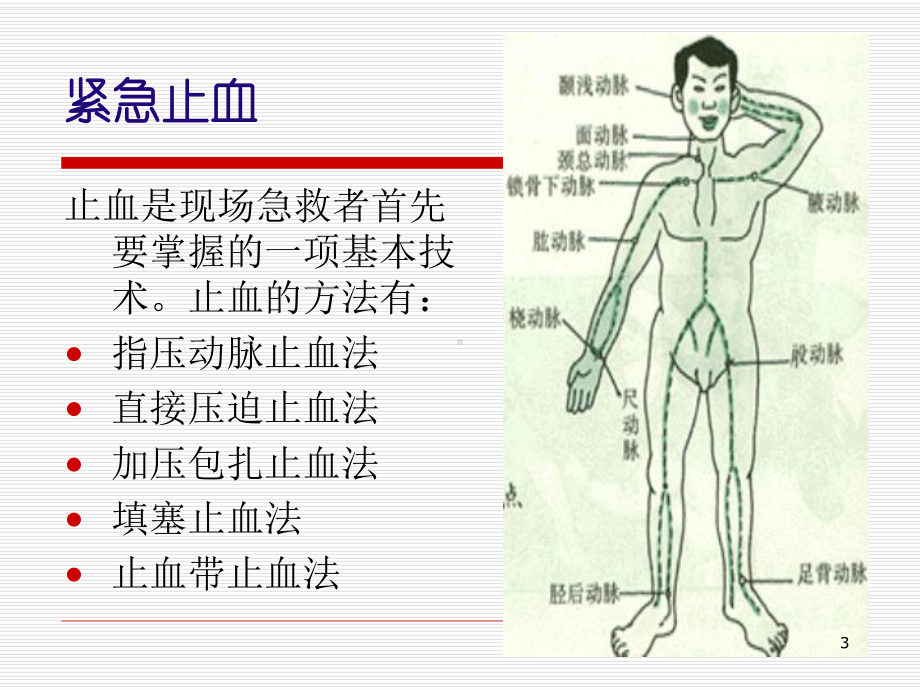 外伤止血包扎固定术PPT课件.ppt_第3页