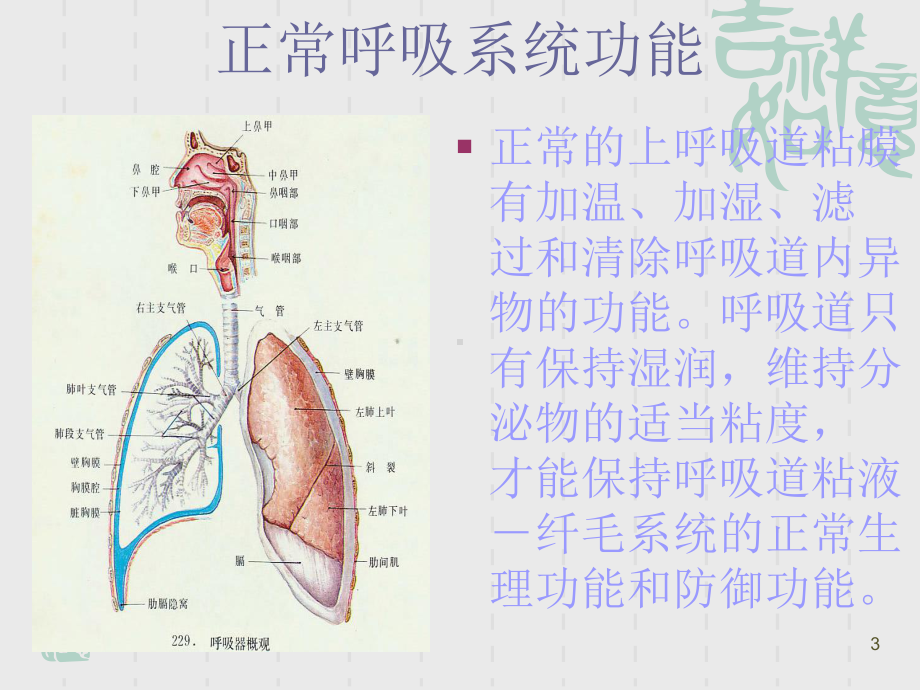 危重患者的气道管理ppt课件.ppt_第3页