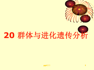 群体遗传分析-ppt课件.ppt