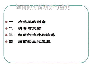 细菌的分离培养与鉴定-ppt课件.ppt