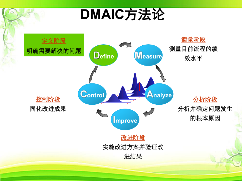 项目管理教程：项目的选择及管理-ppt课件.ppt_第2页