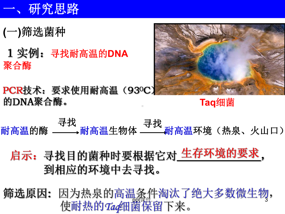 土壤中分解尿素的细菌的分离与计数ppt课件.ppt_第3页