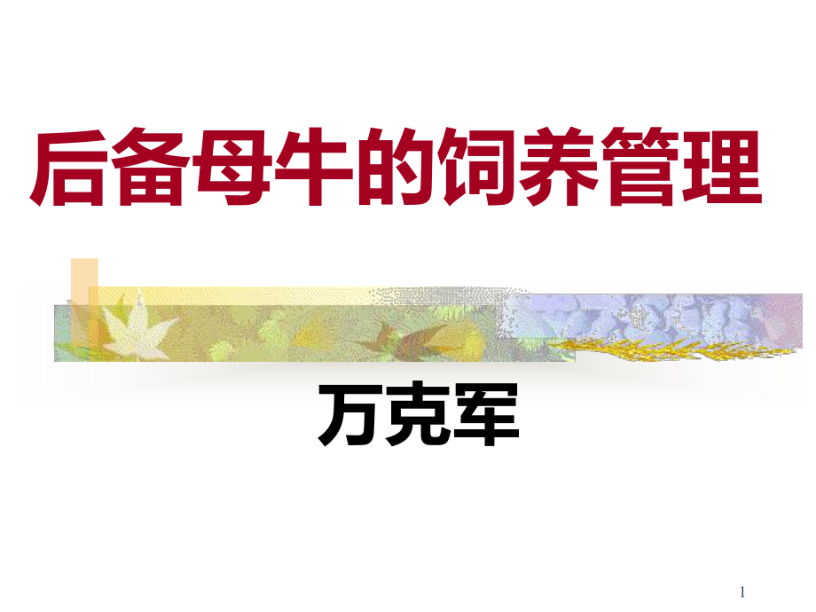 后备母牛的饲养管理aPPT课件.ppt_第1页