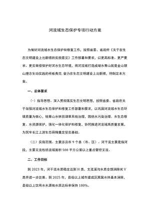 河流域生态保护专项行动方案.docx