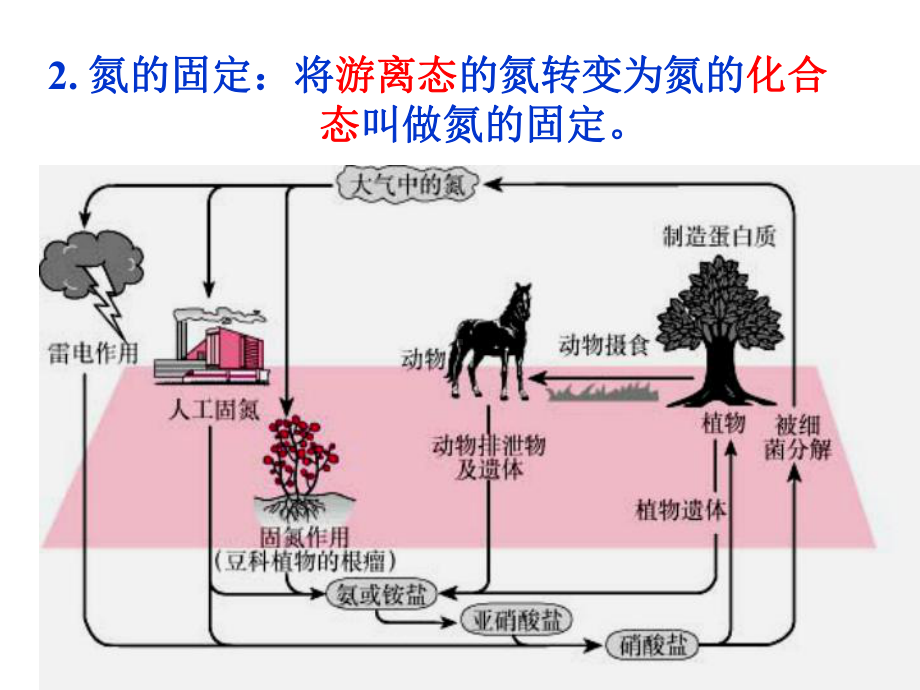 高一化学必修一氨硝酸硫酸PPT课件.ppt_第3页