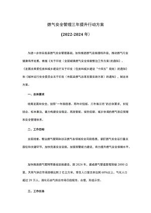 燃气安全管理三年提升行动方案.docx