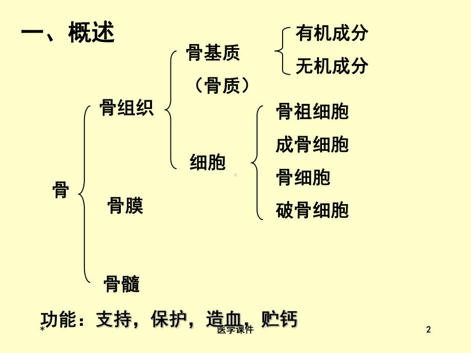 组织学与胚胎学-骨-PPT课件.ppt_第2页