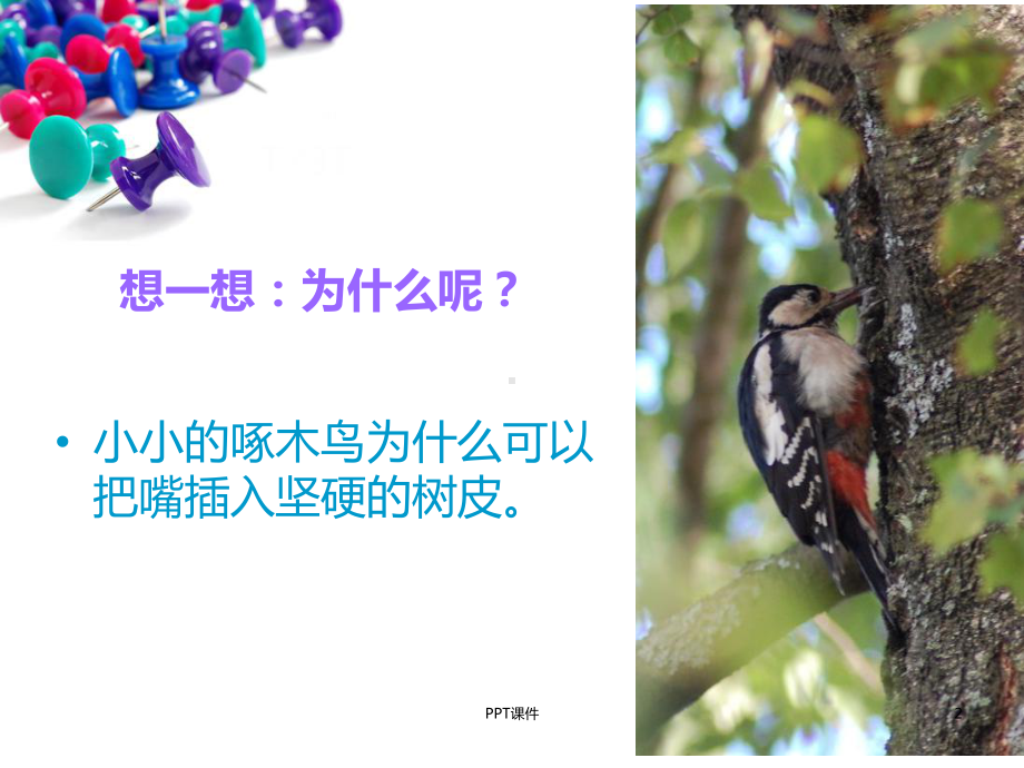 八年级物理《压力的作用效果》-ppt课件.ppt_第2页