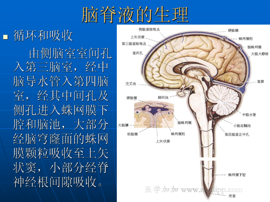 脑脊液检查PPT课件.ppt_第3页