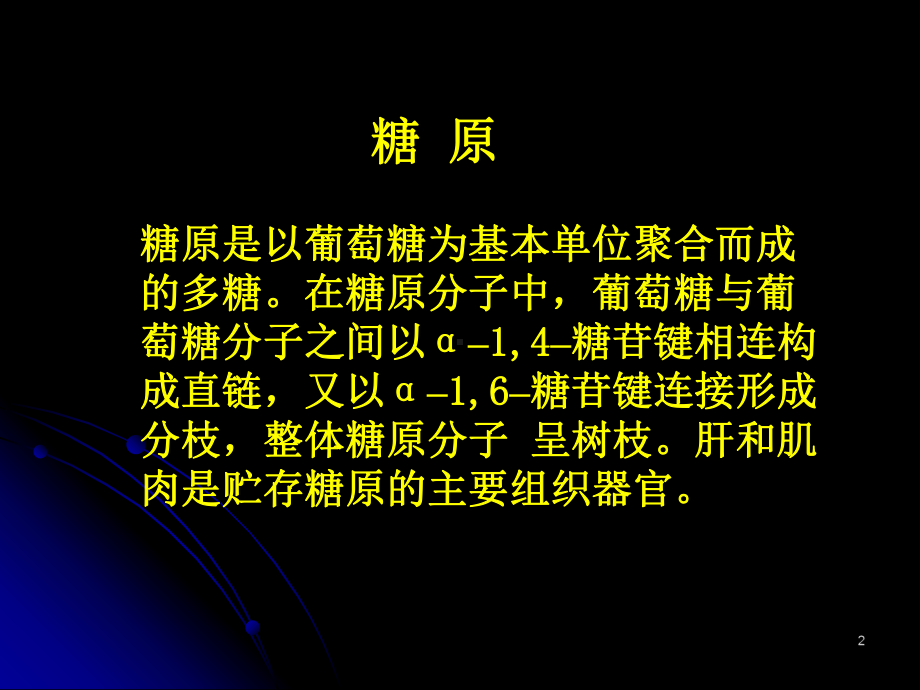 糖原的合成与分解PPT课件.ppt_第2页