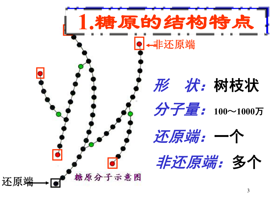 糖原的合成与分解PPT课件.ppt_第3页