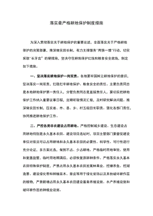 落实最严格耕地保护制度措施.docx