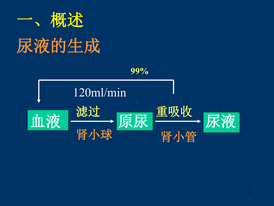 尿液体液粪便检查PPT课件.ppt_第3页