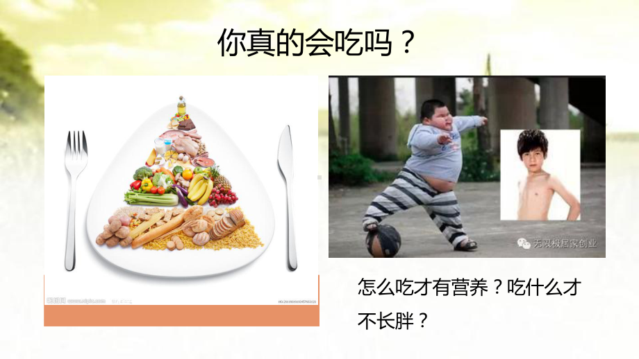 学前儿童营养卫生-PPT课件.ppt_第3页