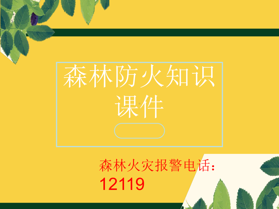 森林防火主题班会PPT教学课件.ppt_第1页