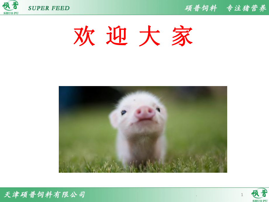 母猪的饲养管理PPT课件.ppt_第1页