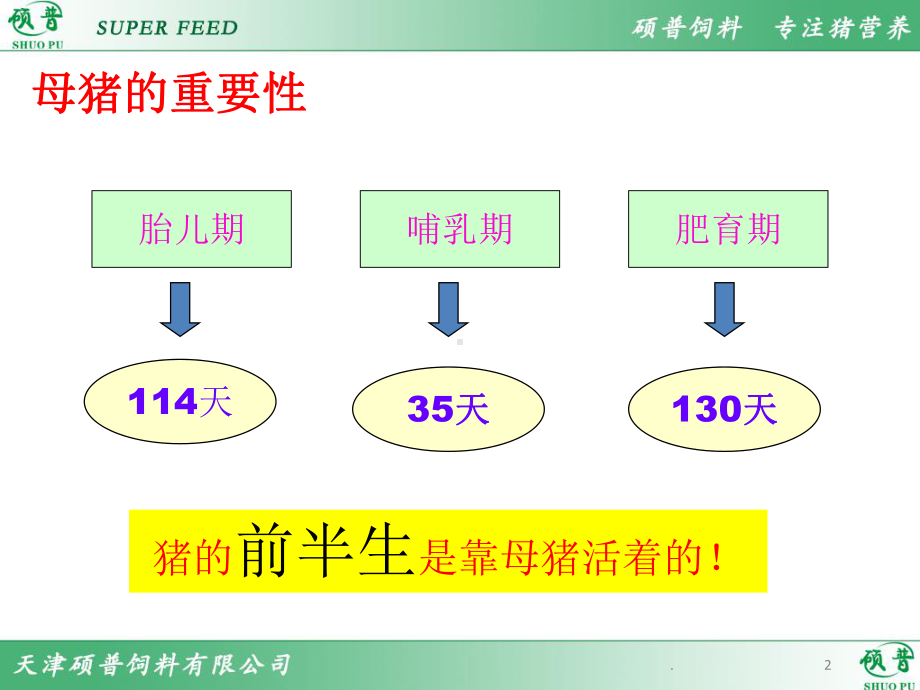 母猪的饲养管理PPT课件.ppt_第2页