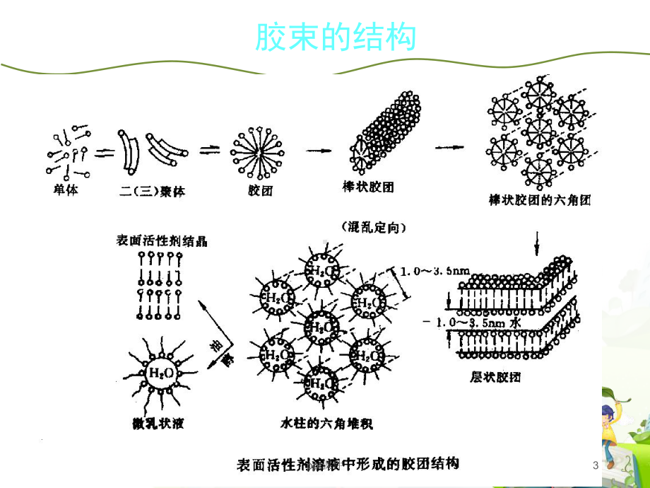 阴离子表面活性剂(概论)-ppt课件.ppt_第3页