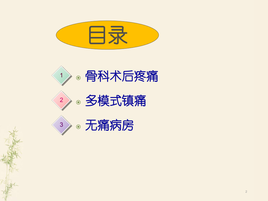 多模式镇痛管理及无痛病房PPT课件.ppt_第2页