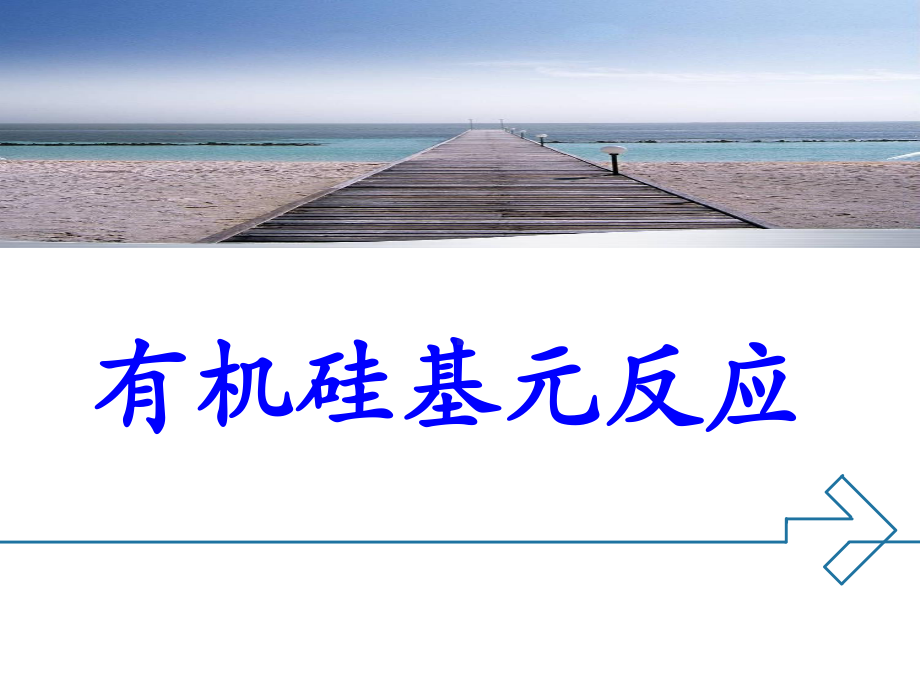 有机硅化学反应ppt课件.ppt_第1页