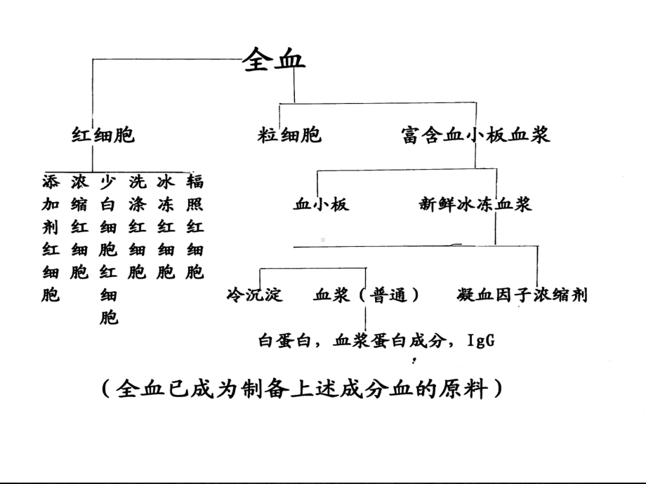 成分输血-ppt课件.ppt_第3页