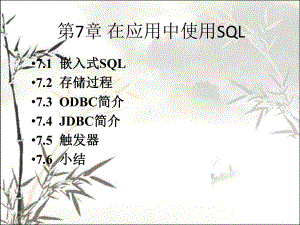 在应用中使用SQL-PPT课件.ppt