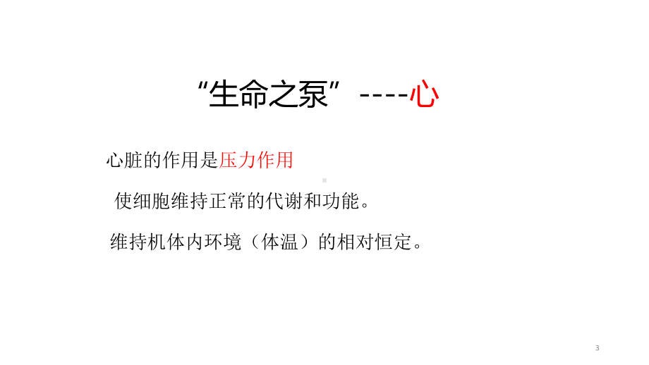 心脏解剖基础知识PPT课件.ppt_第3页