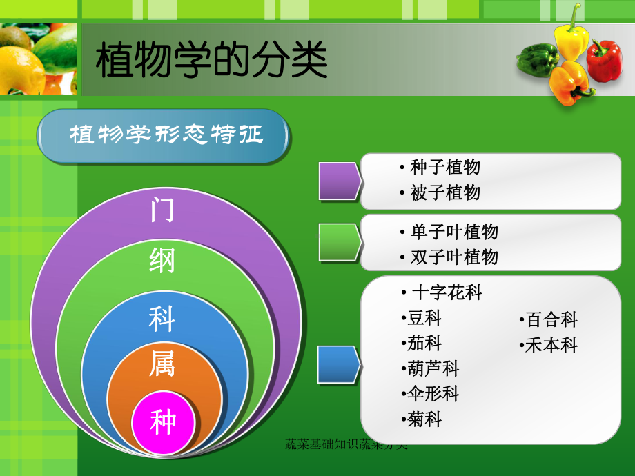 蔬菜基础知识蔬菜分类-ppt课件.ppt_第3页