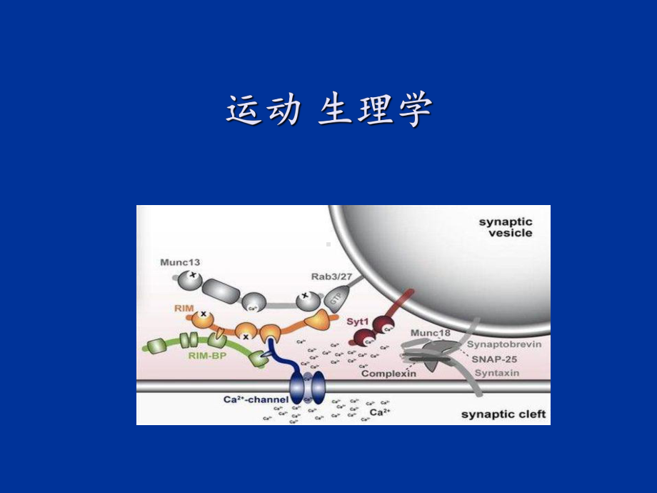 运动生理学全-ppt课件.ppt_第1页