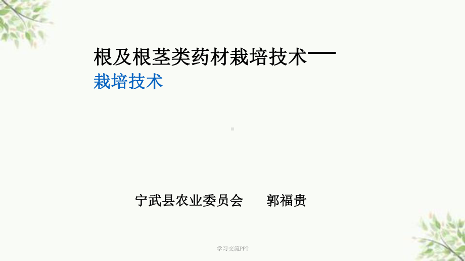 中药柴胡种植技术ppt课件.ppt_第1页