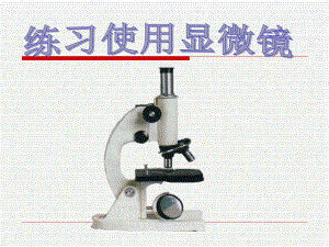 显微镜的结构及使用方法1课件.pptx