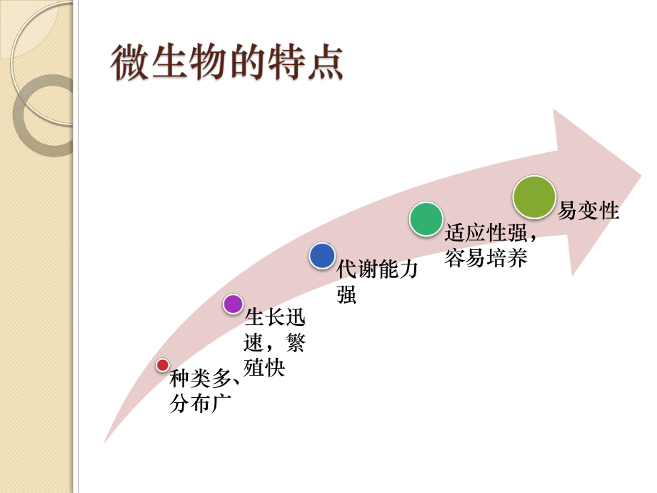 第二章-工业微生物基础课件.ppt_第3页